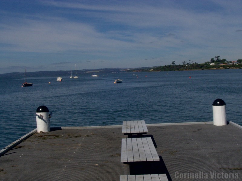 Looking at the Boat Moorings Corinella Victoria