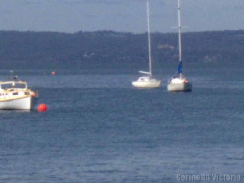 Corinella Mooring Boats