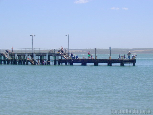 A Hot Summers Day Fishing From The Corinella Jetty