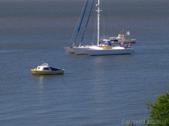 Boats on the moorings at Corinella Victoria