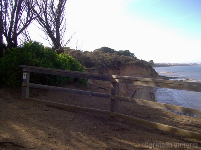 Corinella Cliffs At The Lookout