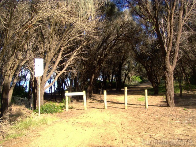 Corinella Walking Track Trails 