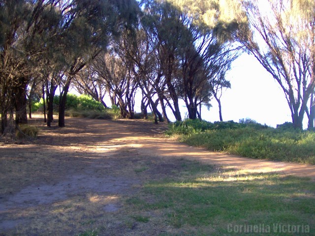 Beach Side Walking Tracks  off Cuthbert Street Corinella Victoria