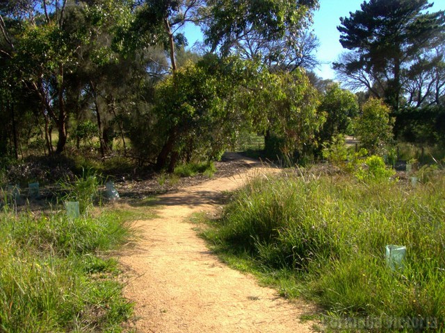 Walking Path Corinella
