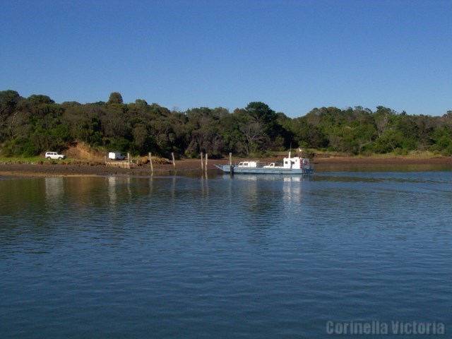 The Ferry Arriving At Corinella