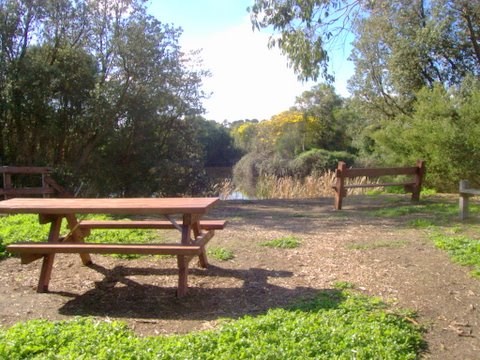 Picnic tables at the fresh water lake on the Corinella walking track