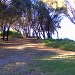 Beach Side Walking Tracks  off Cuthbert Street Corinella Victoria