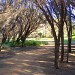 Sea side Walking Track Trails at Corinella Victoria