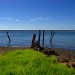 Barge Landing Area Corinella