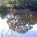 Freshwater Pond at Corinella